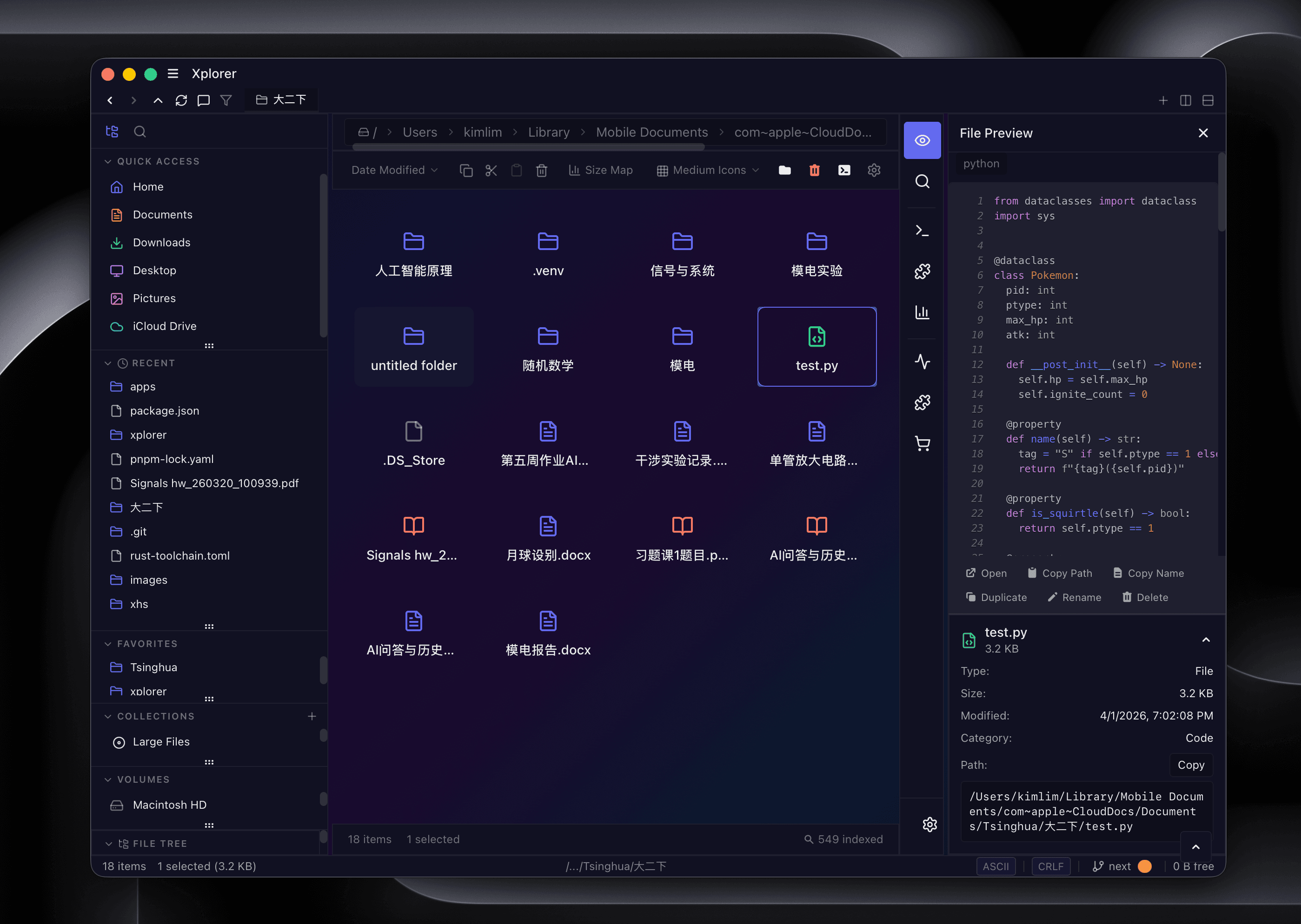 File preview showing Python code with syntax highlighting and file properties